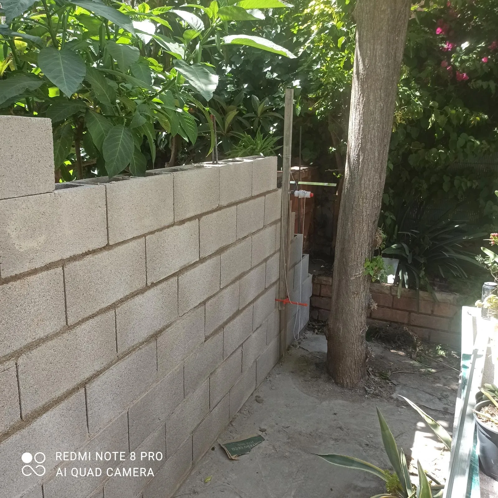 Patio con muro nuevo y aplacado de piedra: antes de la reforma